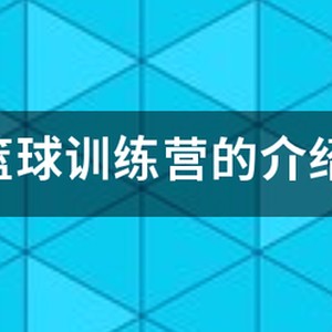 篮球训练营招生简章怎么写